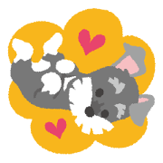 Tuna of Schnauzer 2