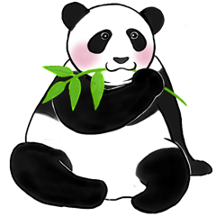 Cute Giant Panda Sticker