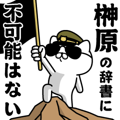 "SAKAKIBARA"name/Military cat