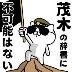 "MOGI"name/Military cat