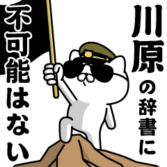 "KAWAHARA"name/Military cat