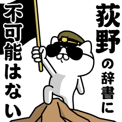 "OGINO"name/Military cat