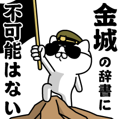 "KANESHIRO"name/Military cat