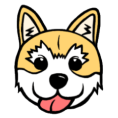 Typical Japanese mongrel dog Collon
