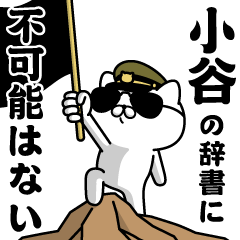 "KOTANI"name/Military cat