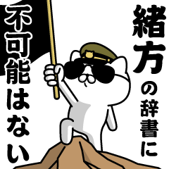 "OGATA"name/Military cat