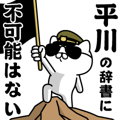 "HIRAKAWA"name/Military cat