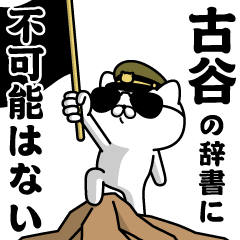 "FURUYA"name/Military cat