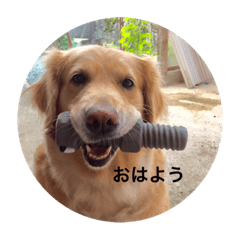 Hana_20200304160004