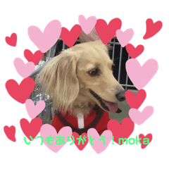 kazumi_20200304162207