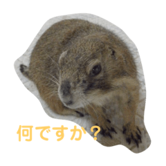 Jackie_20200229215211