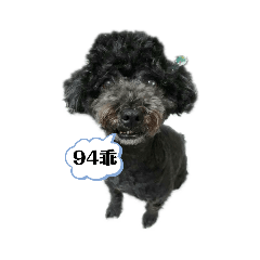 本汪94可愛