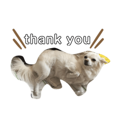 yurina_20200305005643