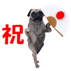 3dcg pug sticker.