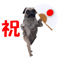 動くcgパグさん Line スタンプ Line Store