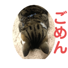 chiitan_20200305122442