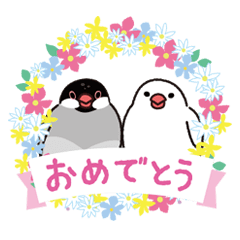 Java sparrow "choko&shiro" Sticker