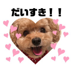 Nozomi_20200305110104