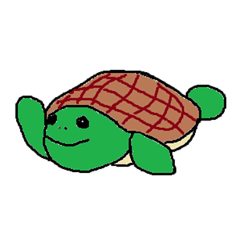 Mr.turtle