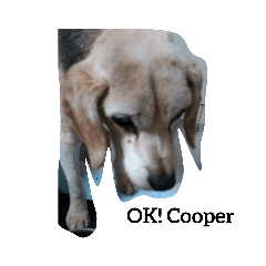 Cooper_20200305134757