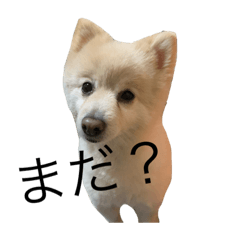 arisa_20200307221542