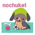 nochuket