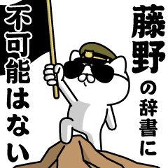 "FUJINO"name/Military cat