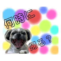 shizu_20200305162241