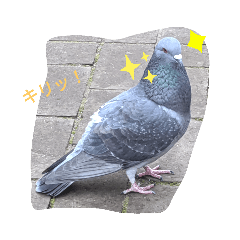 hato_20200305163049