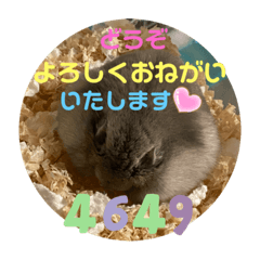 kurumi_20200305172212