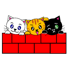 The cats(tiger cat,white cat,black cat)1
