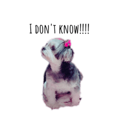 asuka_20200305190909