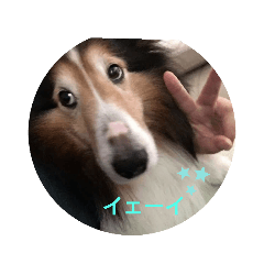 Rei_20200305191015