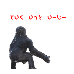 猿、さる、サル！part6