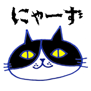 Mr. Cats