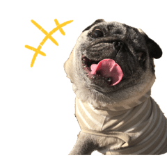 Pag&Pekitin_20200305142208