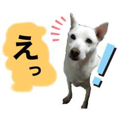 h.r_20200305225826