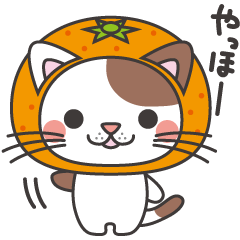 Mikan cat