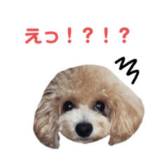 hiyori_20200305235037