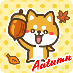 Petit Shiba in Autumn