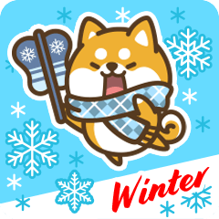 Petit Shiba in Winter