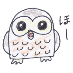 Ho-kun the owl