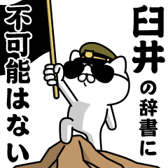 "USUI"name/Military cat