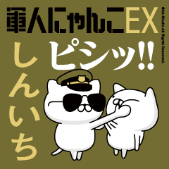 "SHINICHI"name/Movie Military cat