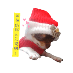 小咪的話