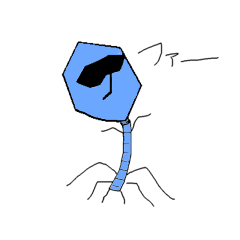 Mr.Phage