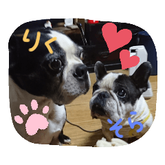 nanana_20200305230834