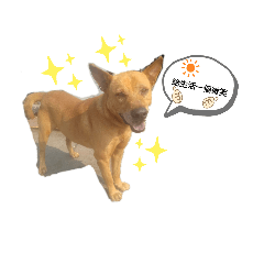 來福1
