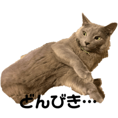 yurina_20200306112620