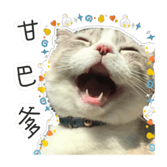 蛋塔黑糖藍莓大集合！